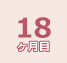 18ヶ月目