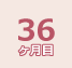 36ヶ月目