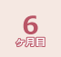 6ヶ月目